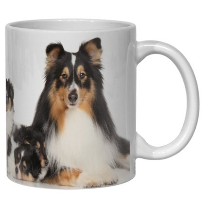 Sheltie bögre